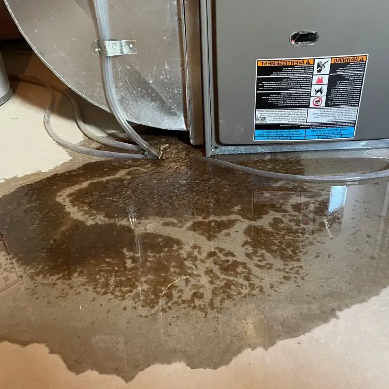 Pipe Burst and Leak Restoration in Lunenburg, MA